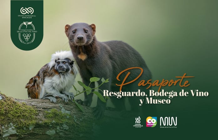 Pasaporte Resguardo, Bodega de Vino y Museo