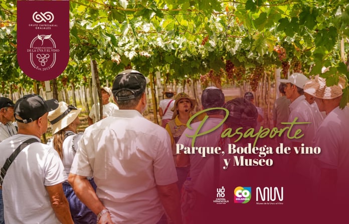 Pasaporte  Vid y vino