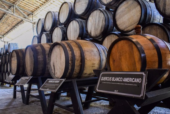 Pasaporte Vid y vino